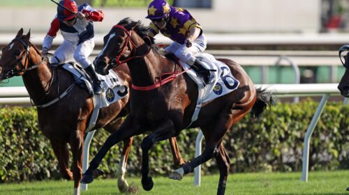 20211113_Sunday13NovPic1-scaled-1-500x28