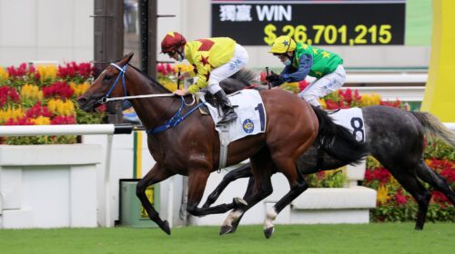 2_20210620_ST_R5_90I9769sk-scaled-1-500x