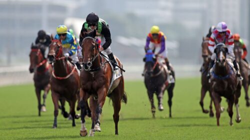 2_20211001-ST-R5-8-Horse-shot-JCX33742o-