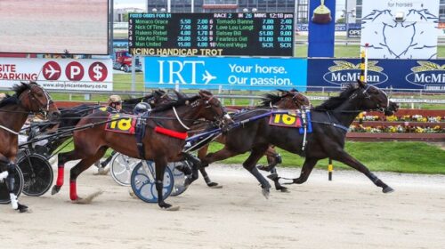 American-Pride-cup-day-2021-blog-image__