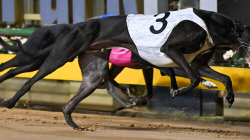 Aston-Rupee-3-crop-1024x434-1-500x280.jp