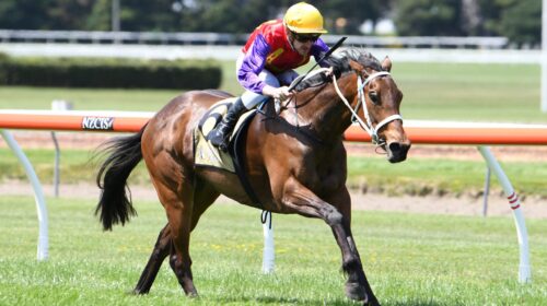 BELLE-PLAISIR-WRC-26-10-2019-RACE-IMAGES