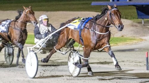 Bettor-Twist-Melton-2021-blog__ResizedIm