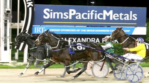 Cover-Girl-Blog__ResizedImageWzYwMCwzNDd