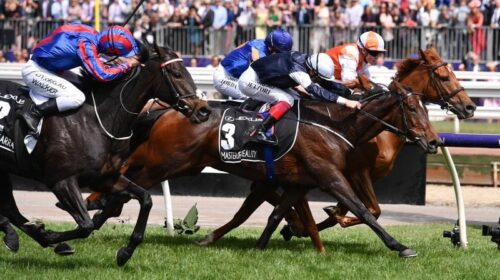 Cup_4-3_17496224_1977647_20191105151128a