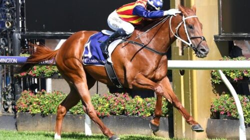 FLEMINGTON_4-3_20392169_2049379_20210213