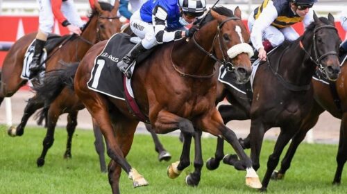 Flemington_Hotham_4-3_19799921_2036286_2