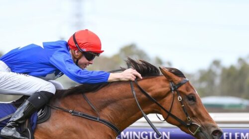 Flemington_Rubisaki_4-3_17909599_1988974