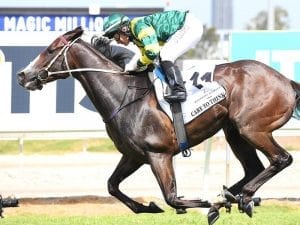 Matt Dunn happy with stable star's trial