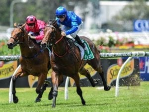 Capitulate to trial again before debut