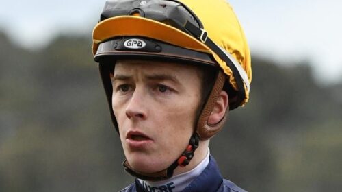 Gallops_Virus_Moloney_4-3_19148624_20213