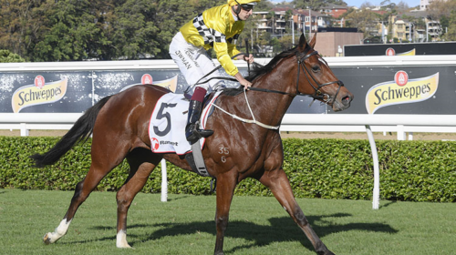 Horse-rocha-clock-150625-750x500-1-500x2