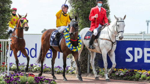 KARALINO-return-Canterbury-Breeders-Stak