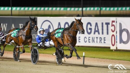 King-Of-Swing-Blog-Image-IDs-2021__Resiz