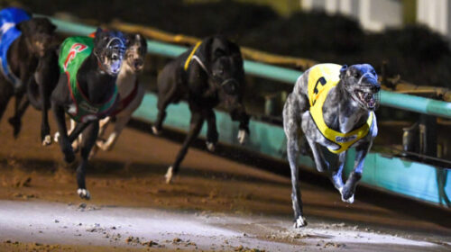 Knicks-Bale-5-crosses-the-finish-line-ah