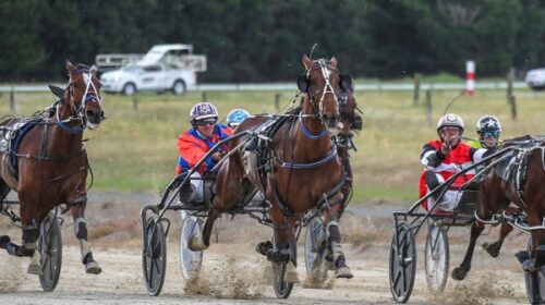 Kyle-Cameron-50-training-wins-Tairlaw-To