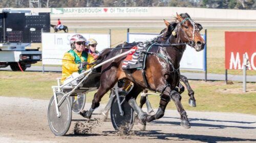 Kyvalley-Hotspur-blog-image__ResizedImag