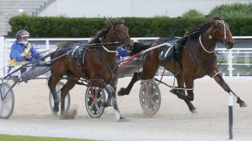 Lady-Of-the-Light-blog-image__ResizedIma