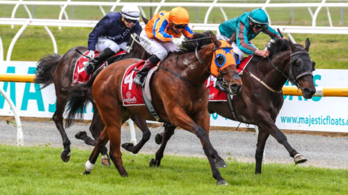 MARKUS-AURELIUS-Couplands-Bakeries-Mile-