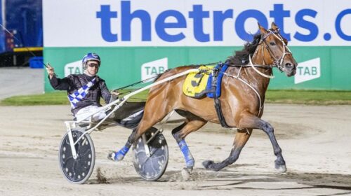 Majestic-Man-Dullard-Cup-Aus-Blogjpg-v3_