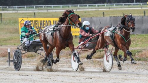 Maui-Nov-21-Blog__ResizedImageWzYwMCwzNz