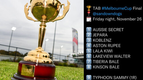 MelbCup-box-draw-2-500x280.jpg