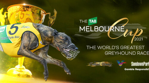 Melbourne-Cup-socialsFB-cover-3-500x280.