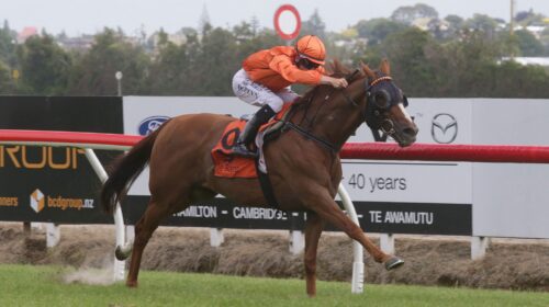 ROYAL-PERFORMER-1-Te-Rapa-19.12.2020-TD-