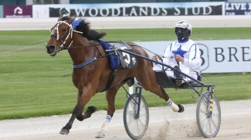 Superfast-Ninja-Blog__ResizedImageWzYwMC