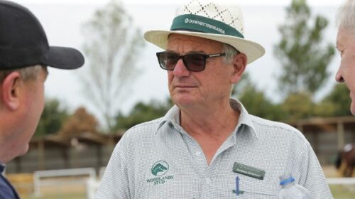 andrew-grierson-woodlands-blog-v2__Resiz