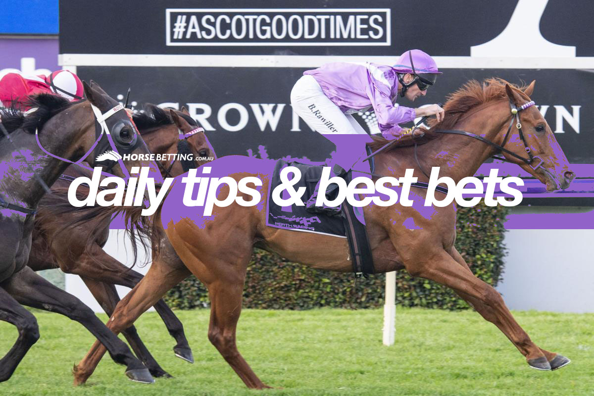 Ascot Racing Tips Bets Odds