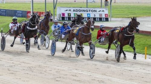 south-coast-arden-ffa-win-addington-2021