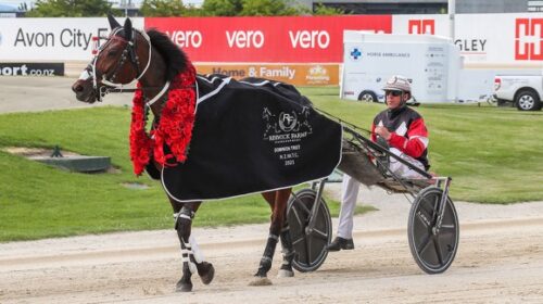 sundees-son-dominion-2021-blog__ResizedI