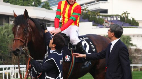 1_20161211-Roy-R08-IMG-IMG_9558-scaled-1