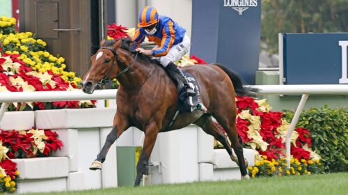 1_20201213-ST-R4-A50V1792PL-1-scaled-1-5