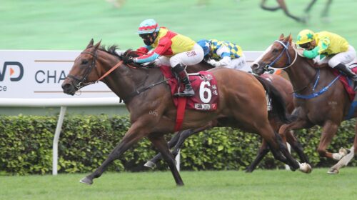 1_20210425_STRC_R5_90I0733sk-1-scaled-1-