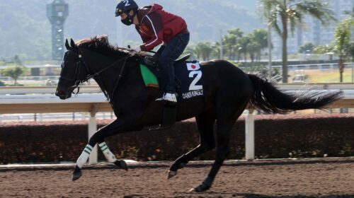 1_20211208-ST-DANON-KINGLY-A46I1726j-sca