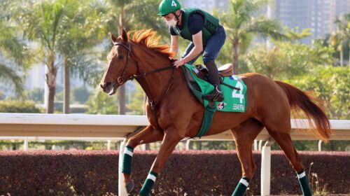 1_20211209-ST-EBAIYRA-JCX31400o-scaled-1