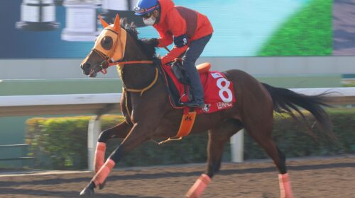 1_20211210-LEI-PAPALE-1Y1A0210sk-scaled-