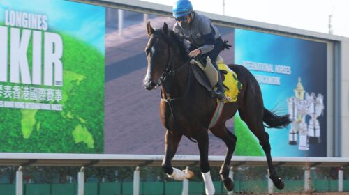 1_20211210-PIXIE-KNIGHT-1Y1A0168sk-scale