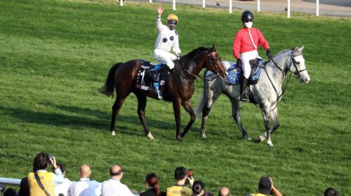 1_20211212-ST-R10-YIU_6460tse-scaled-1-5