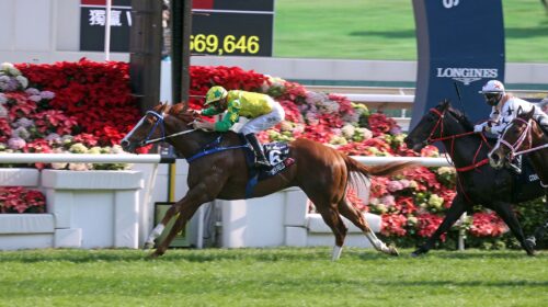 1_20211212-ST-R5-A46I4951J-scaled-1-500x