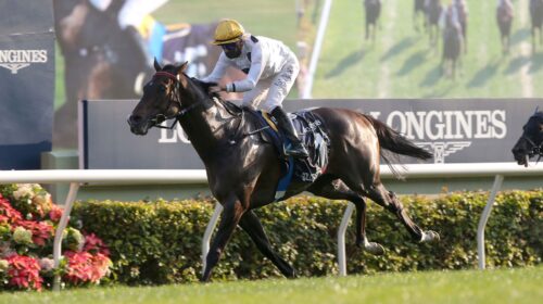 1_20211212-ST-R7-50V2500p-scaled-1-500x2