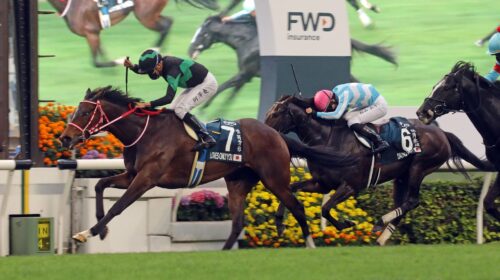 20210425-ST-R8-7-Horse-shot-BC7A3180J-sc