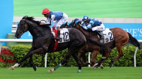 20210905-ST-R4-12-Horse-shot-A90I1132SK-