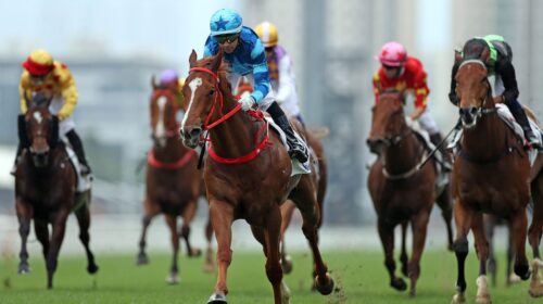 20211121-R3-4-Horse-shot-JCX37381o-scale