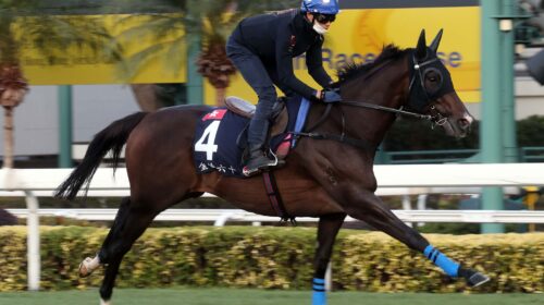 20211207-ST-GOLDEN-SIXTY-A46I0854j-scale