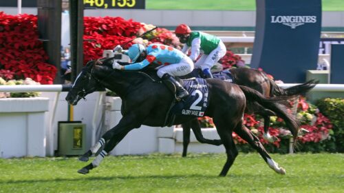 20211212-ST-R4-A46I4486J-scaled-1-500x28