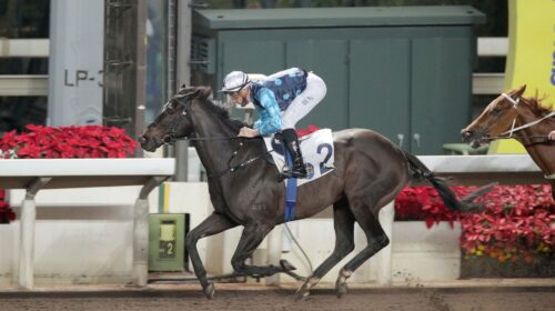 20211229_Pic1WillPower-scaled-1-500x280.