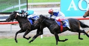 Pony Power winning at the Gold Coast